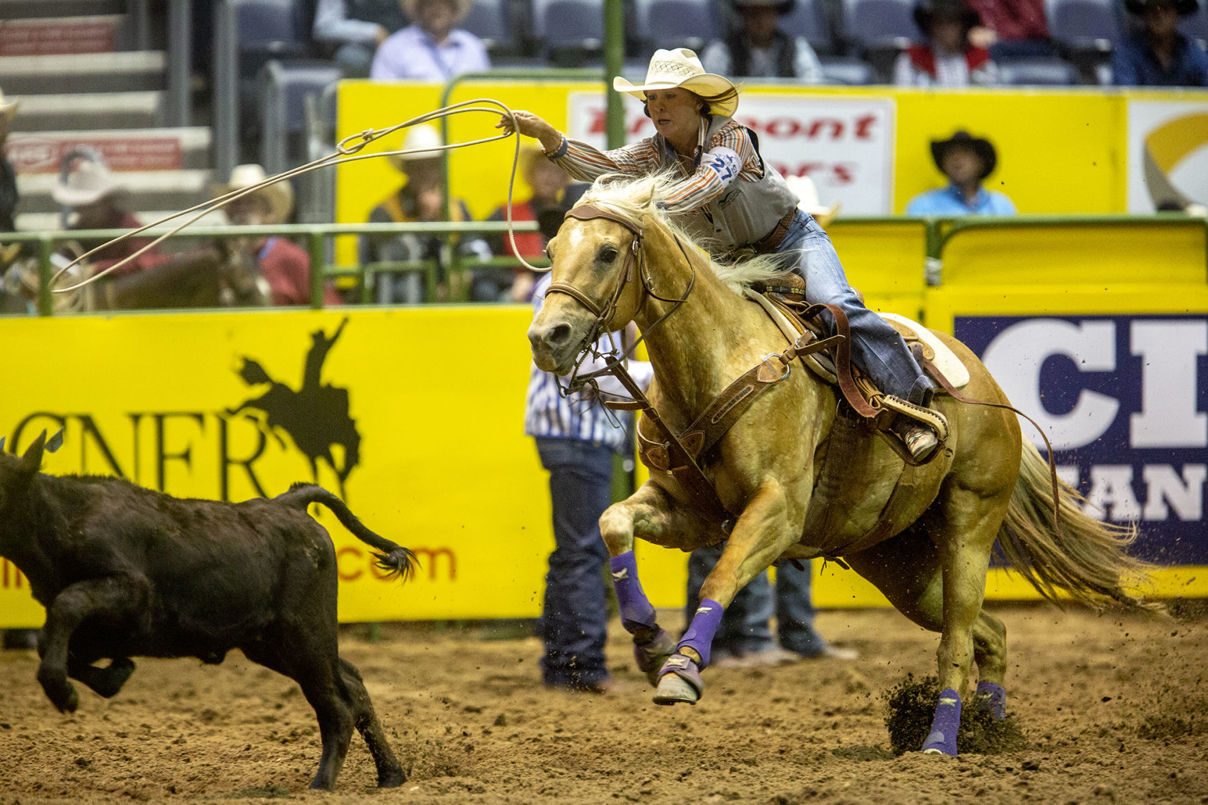 CNFR Wednesday